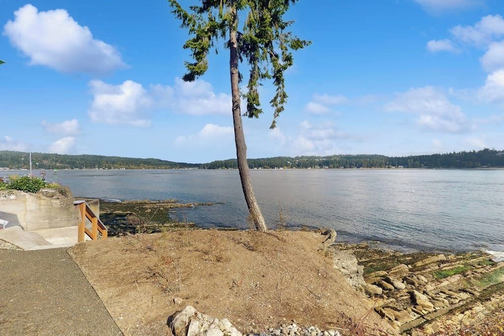 Une vue sur le lac, avec un seul arbre, un chemin de béton et une rive rocheuse.