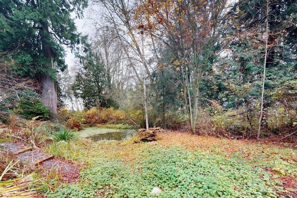 A forested area with a pond, surrounded by trees and vegetation.