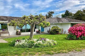 Una propiedad residencial con césped cuidado, un árbol y varias plantas en macetas.
