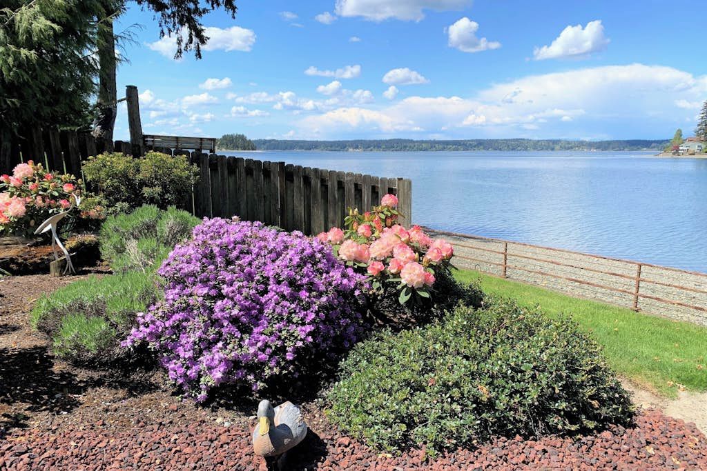 A waterfront garden with a wooden fence, a variety of flowering plants, and a clear view of the lake.