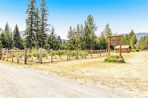 A rustic wooden sign for a mountain lodge with a clear sky and forested background. - Studio Suite - Mountainview - Patio - Dog Friendly (Quilcene)