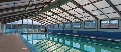 Una piscina interior con techo de vidrio, agua cristalina y vistas al exterior.