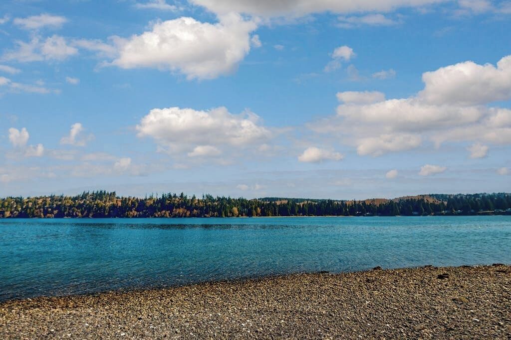 A lake with a pebbly shore and a forested hill in the background.