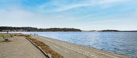 A gravel path beside a calm lake with a distant forested island.