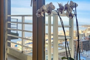 Ein Fenster mit Blick auf eine Stadtlandschaft, einem Balkongeländer und einer Orchideenpflanze.
