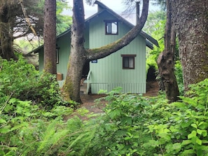 Een rustieke hut, omringd door dicht bos.