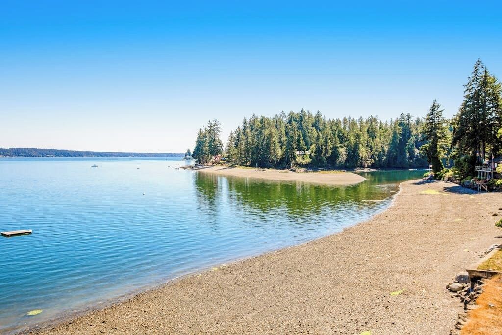 A beach with calm water, a forested area, and a clear sky.