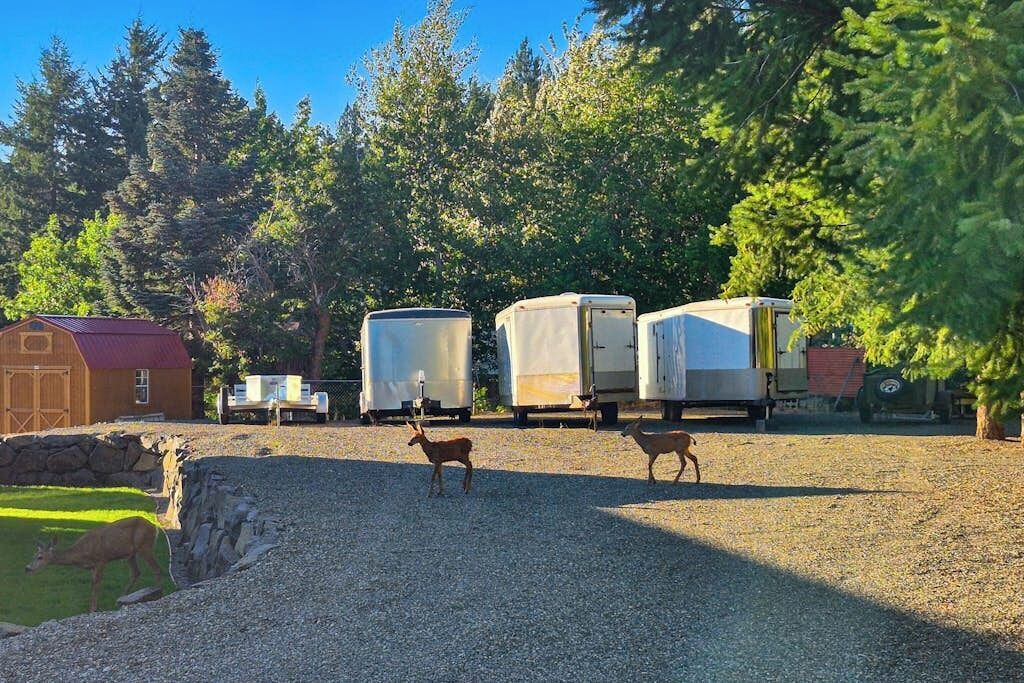 Une zone recouverte de gravier, avec une grange, des locaux de stockage et un enclos clôturé où vivent des cerfs.