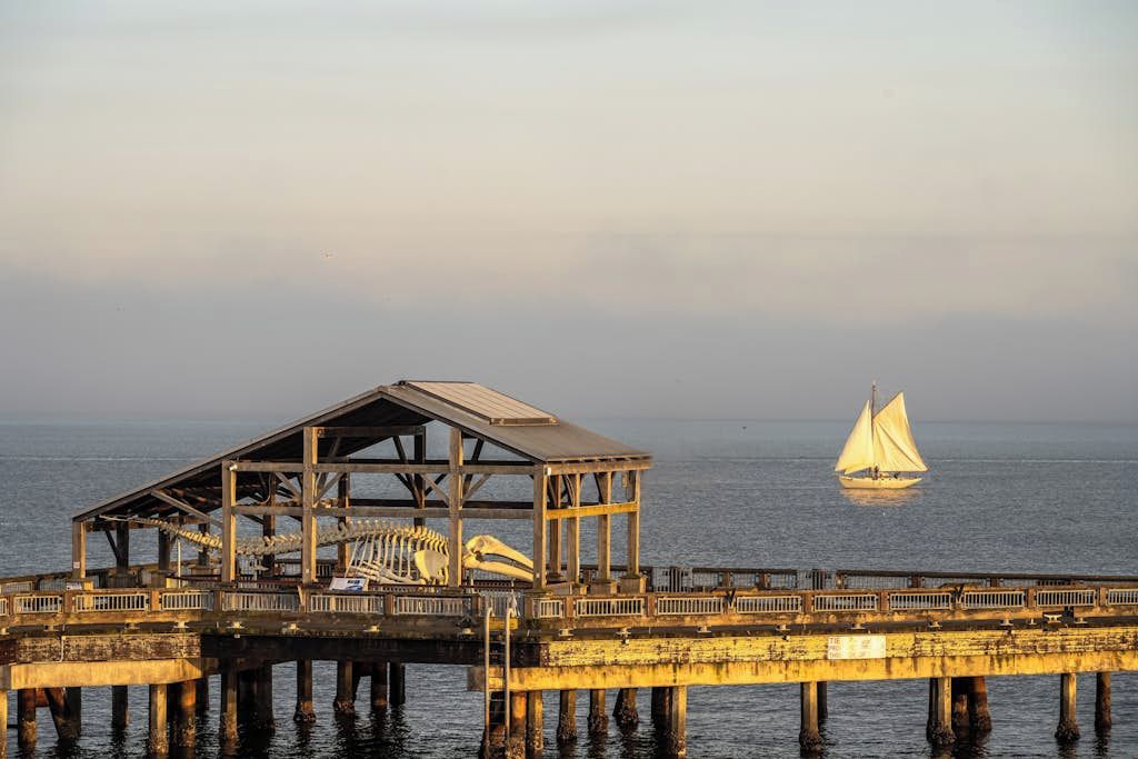 A pier with a skeletal structure and a sailboat in the distance.