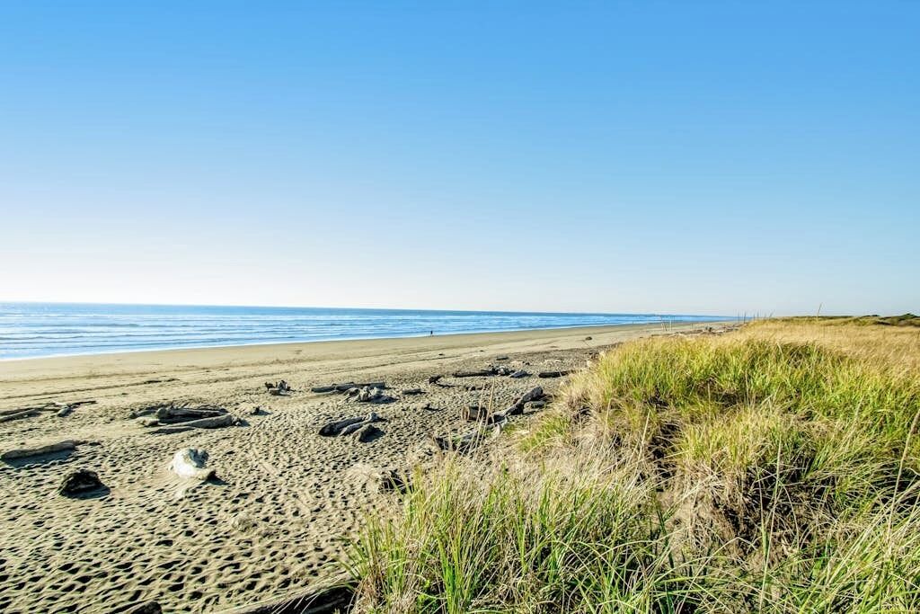 Une plage avec du sable, de l’herbe et l’océan.