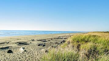 Une plage avec du sable, de l’herbe et l’océan.