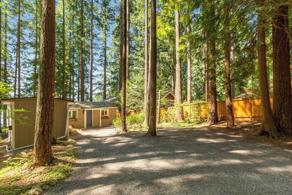 A forested area with a gravel path leading to a small building, surrounded by tall trees.