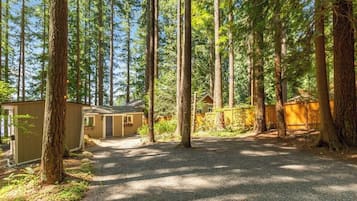 A forested area with a gravel path leading to a small building, surrounded by tall trees.