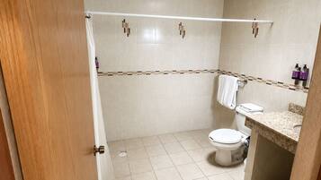 Un baño con inodoro, zona de ducha y tocador con lavamanos.