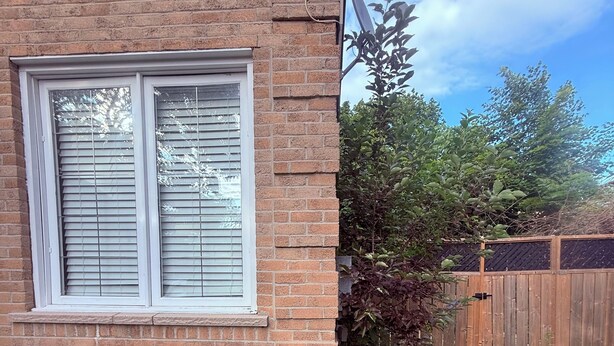 A brick house with a window, a wooden fence, and a garden with various plants.