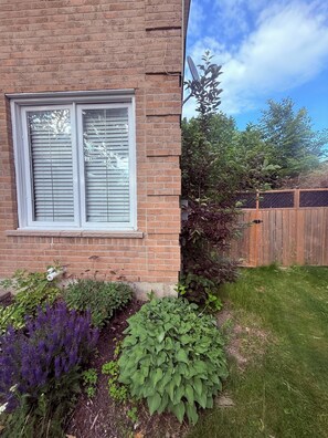 A brick house with a window, a wooden fence, and a garden with various plants. - The Belleville Retreat-Wifi, Quiet Private Patio (Belleville)