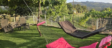 A hammock set up in a grassy area with a metal fence and chairs, overlooking a vineyard and hills.