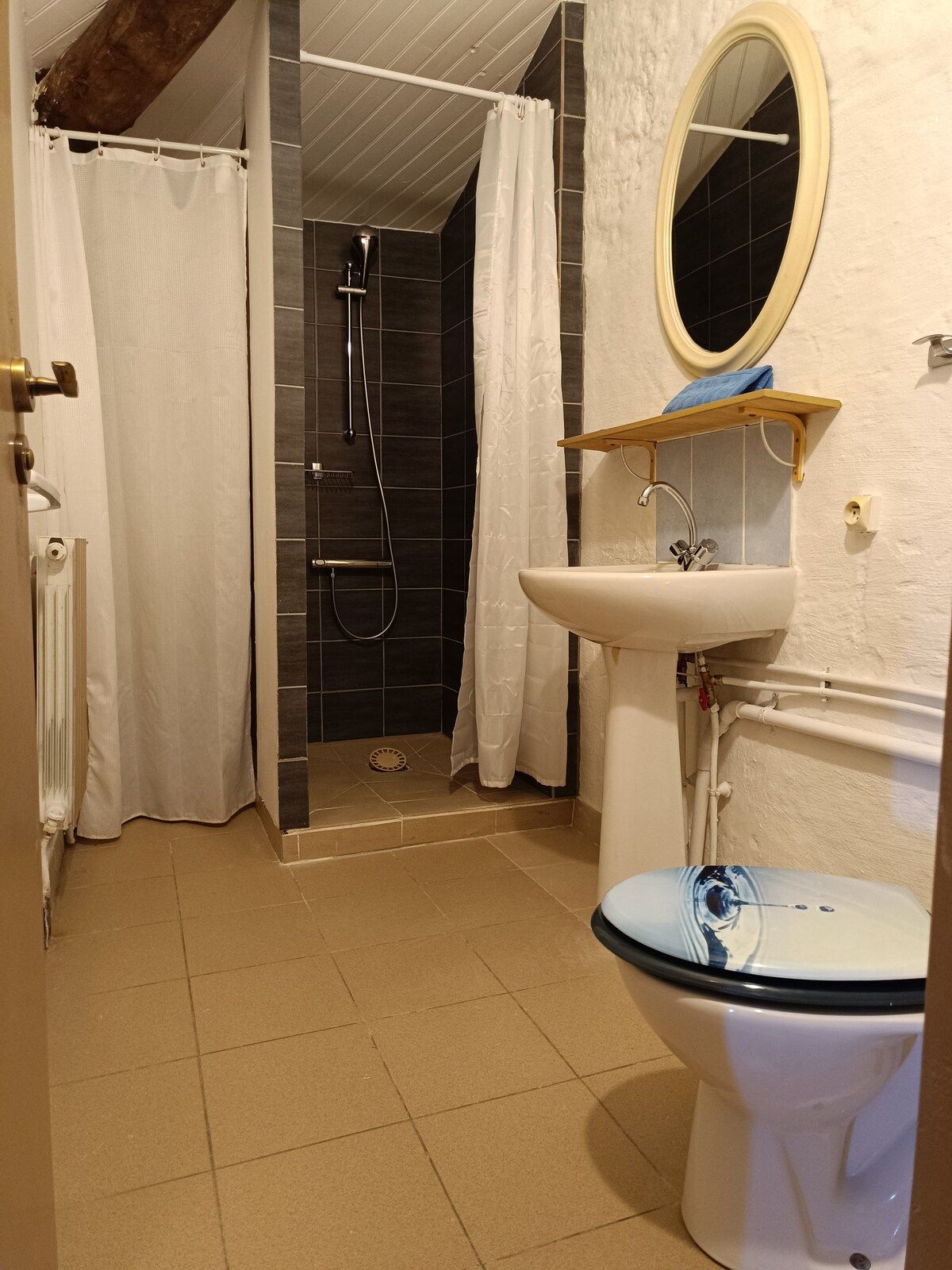 Een badkamer met douche, toilet en wastafel.