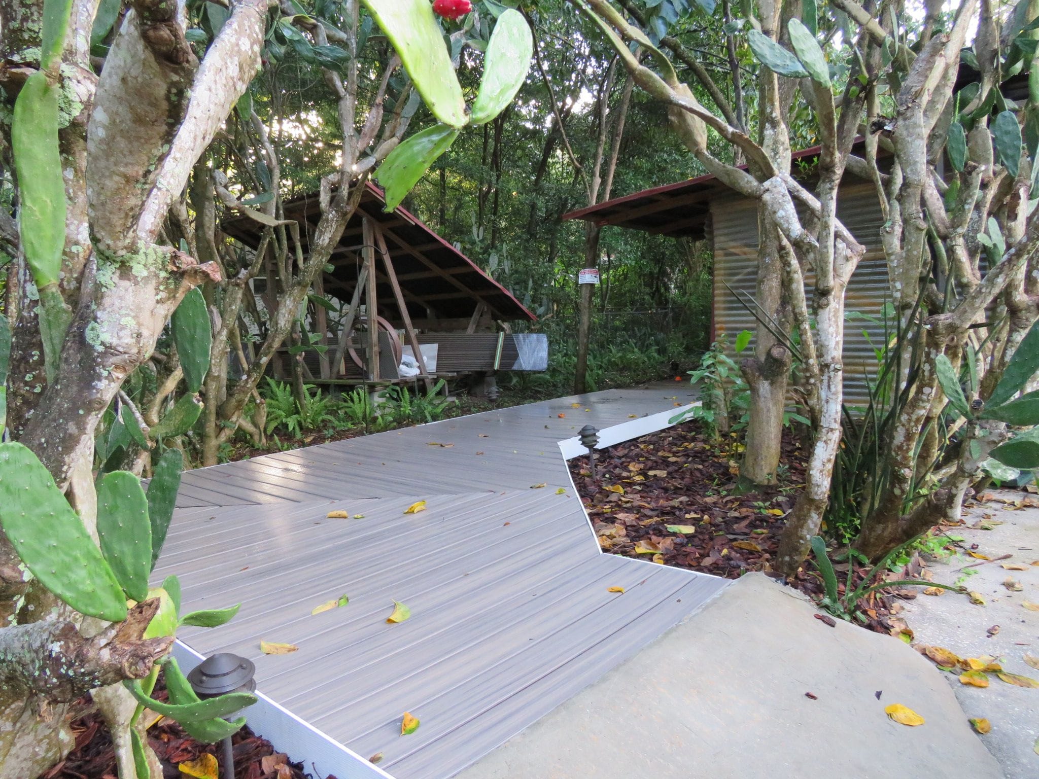 A wooden deck leading to a rustic building surrounded by dense foliage.
