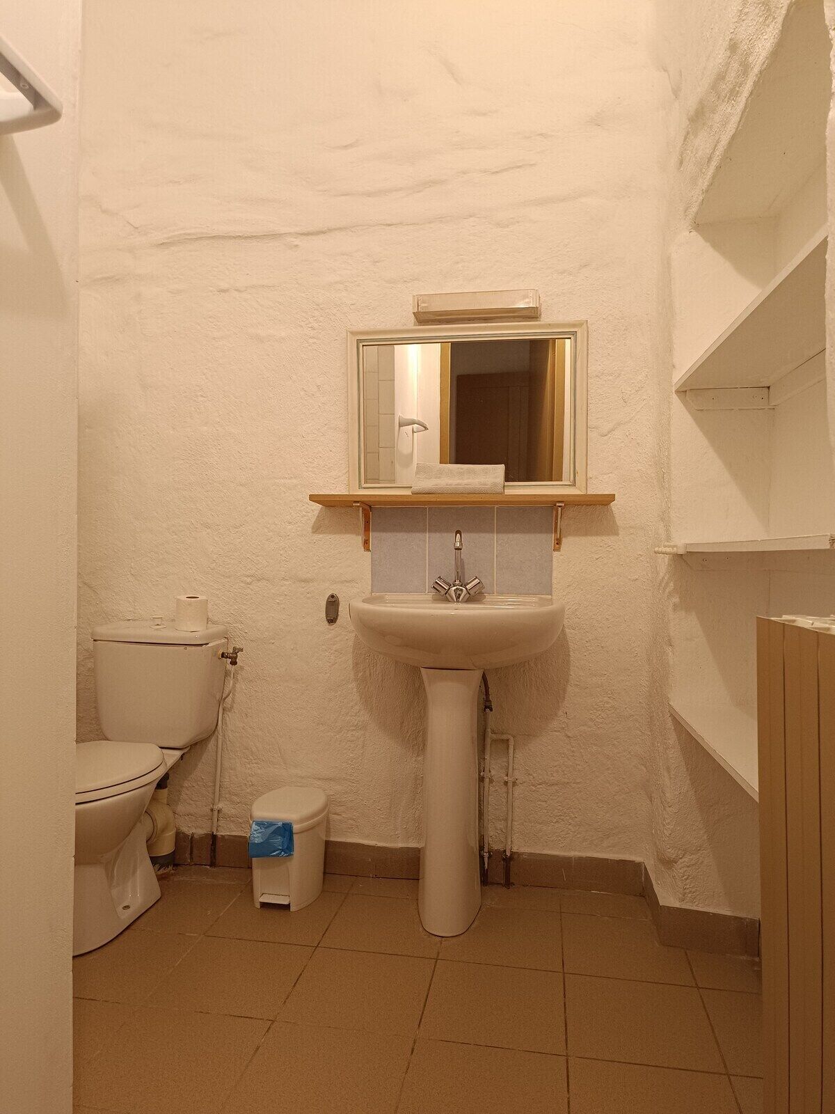 Une petite salle de bain avec des toilettes, un lavabo et un miroir.