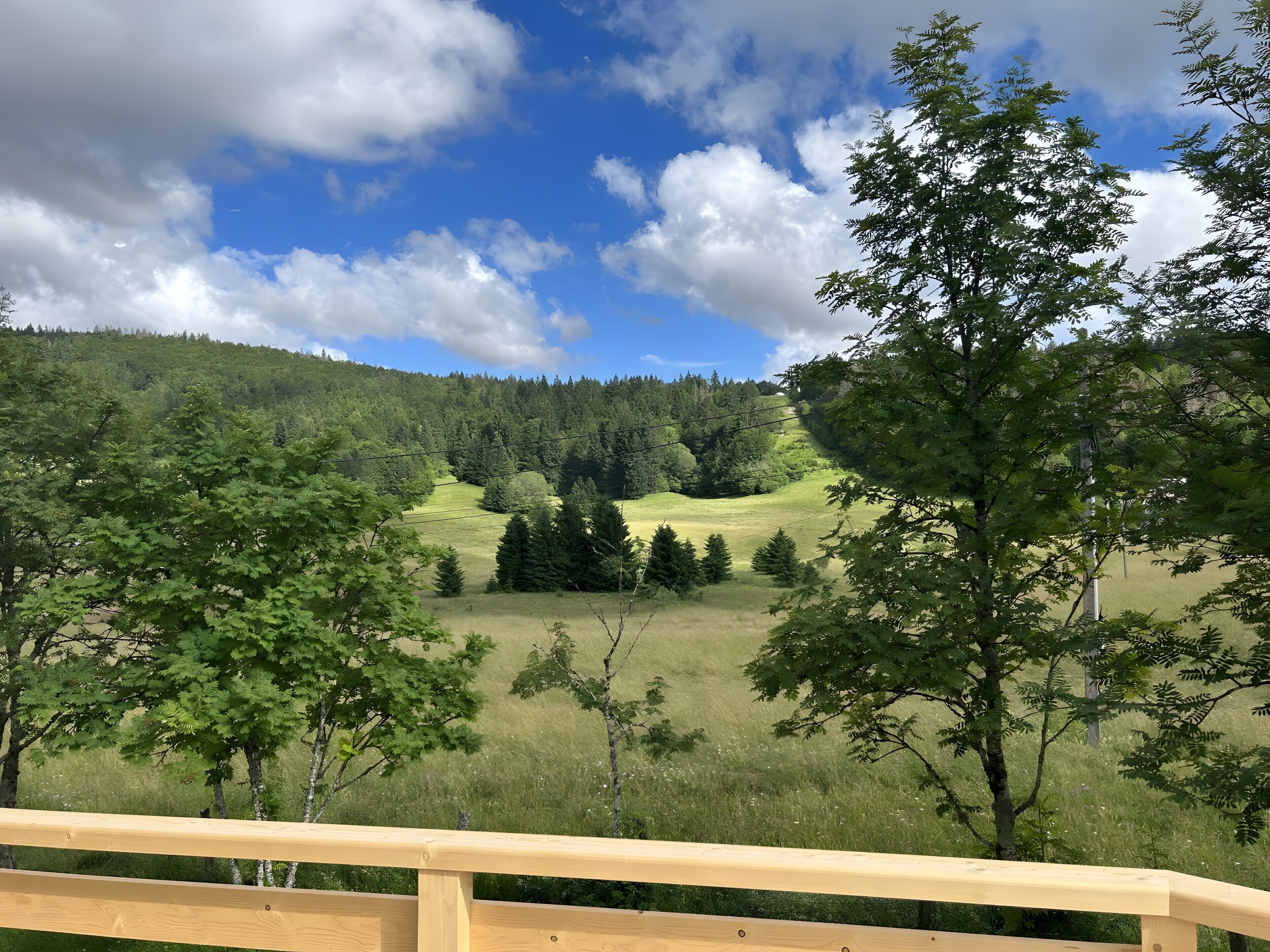 Une clôture en bois offrant une vue sur un champ verdoyant et des arbres en arrière-plan.