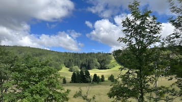 Une clôture en bois offrant une vue sur un champ verdoyant et des arbres en arrière-plan.