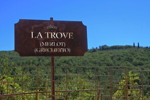 A sign with the text 'LA TROVE (MERLOT) (GRECHETO)' against a backdrop of a clear blue sky and a hilly landscape. - Private Tuscan estate surrounded by vineyards   (Toscana)