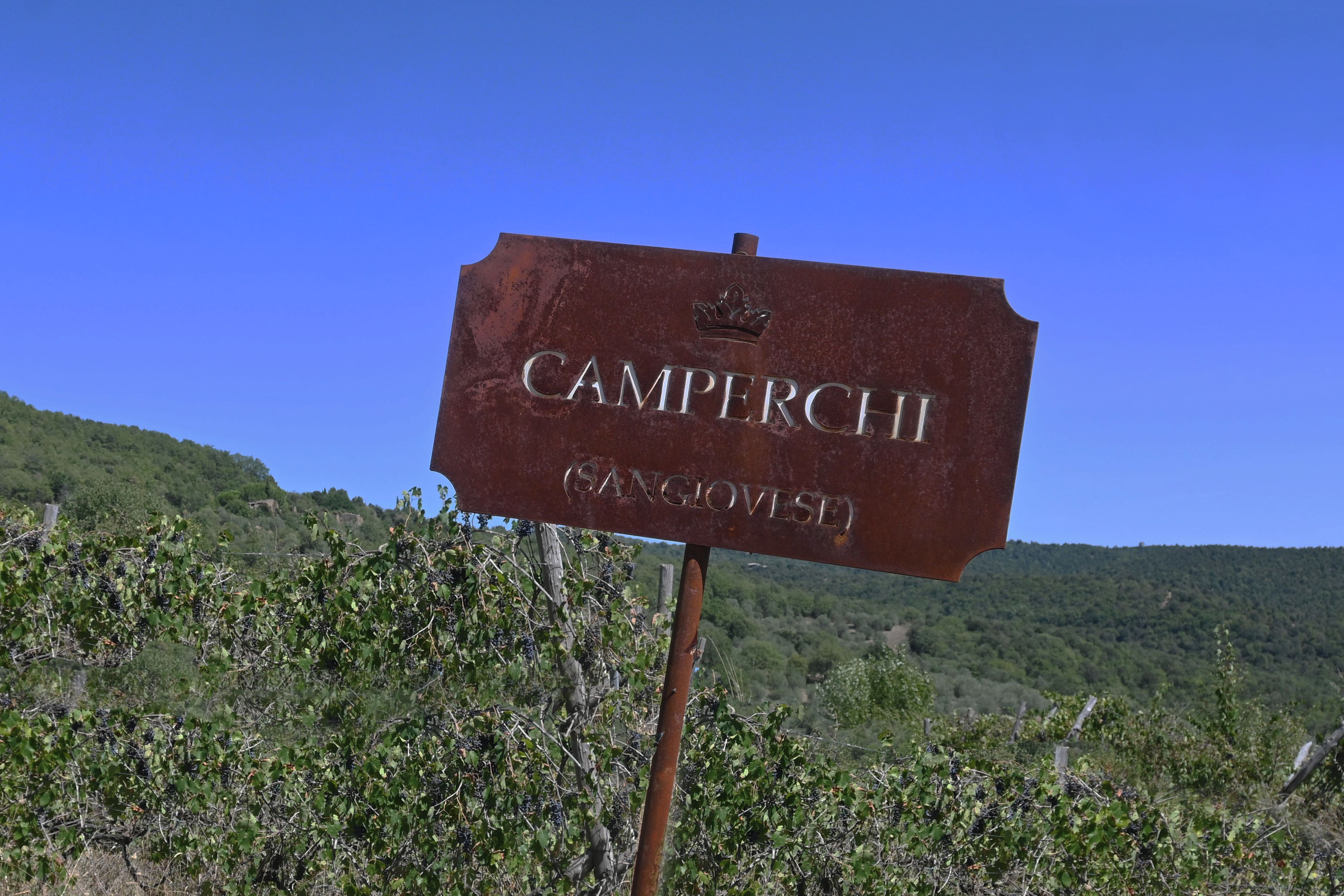 A sign with the name 'CAMPERCHII' and 'SANGIOVSE' indicating a location.