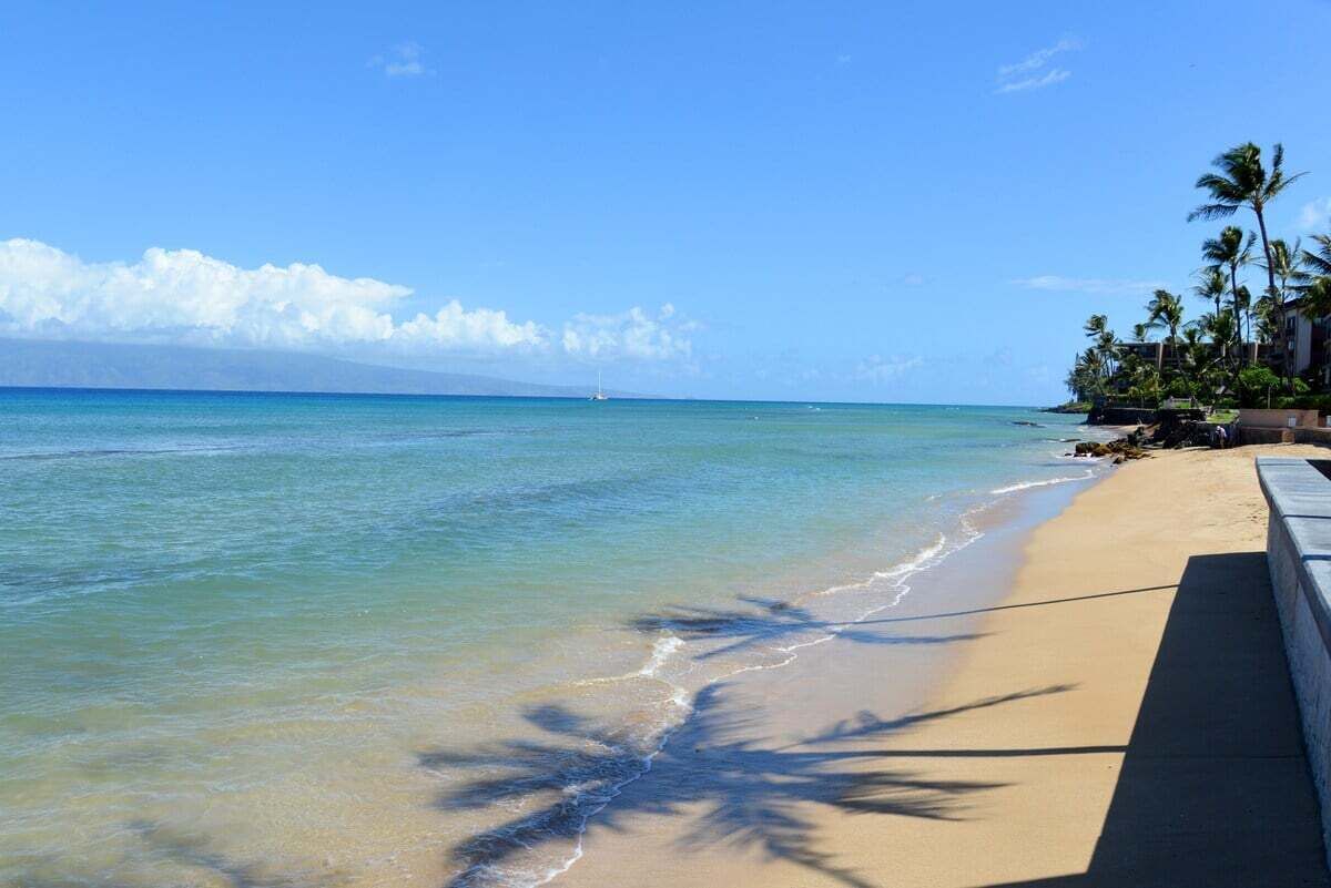 A beach with clear water, palm trees, and a distant sailboat.