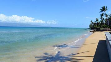 A beach with clear water, palm trees, and a distant sailboat.