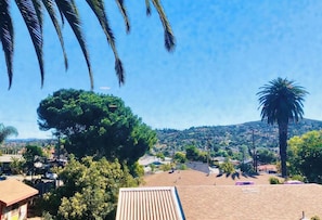 A residential area with a large tree, a palm tree, and a view of a hilly landscape in the distance.