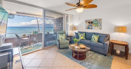 Updated Oceanfront Whale Watching - Kulakane 211