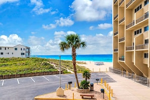 Ein Hotel direkt am Strand mit Parkplatz, einer Palme und Blick auf den Ozean.