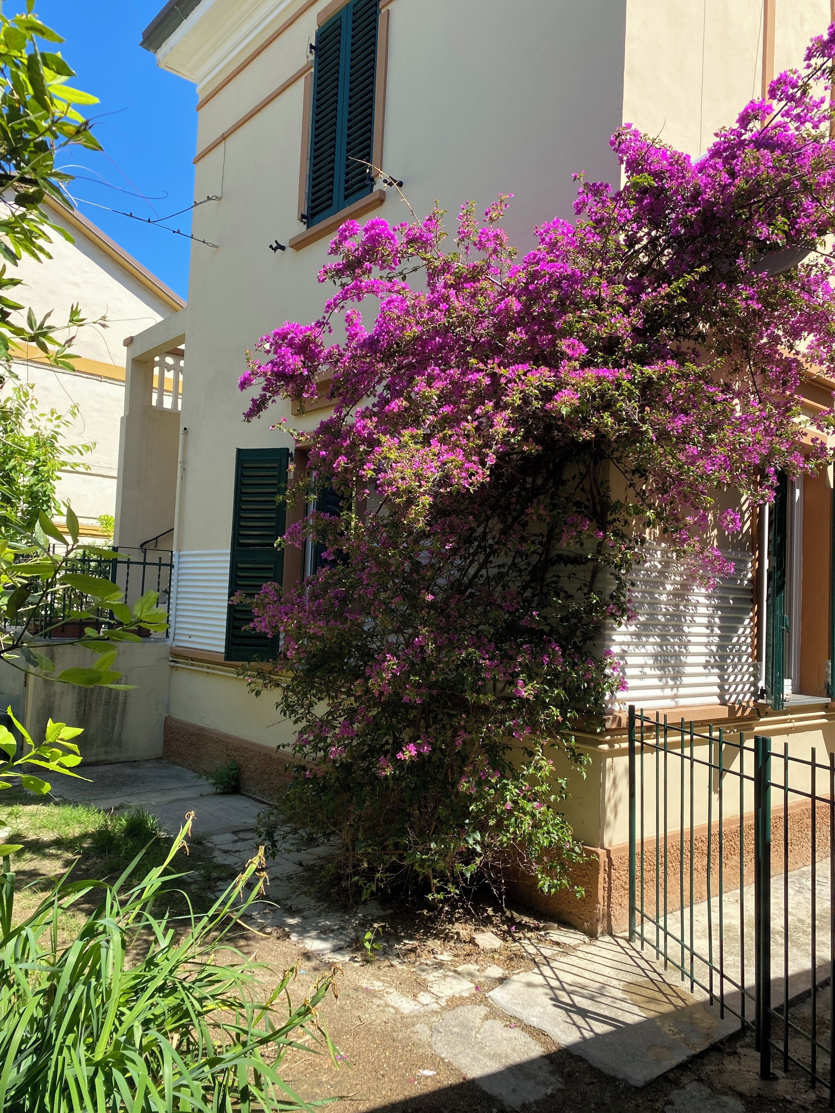 Un edificio con un balcone, un giardino con fiori viola e una recinzione in metallo.