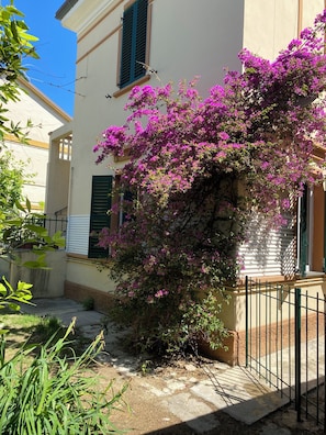 Unclassified image, 3 of 29, button - Porzione di villa con giardino privato e A/C (Senigallia)