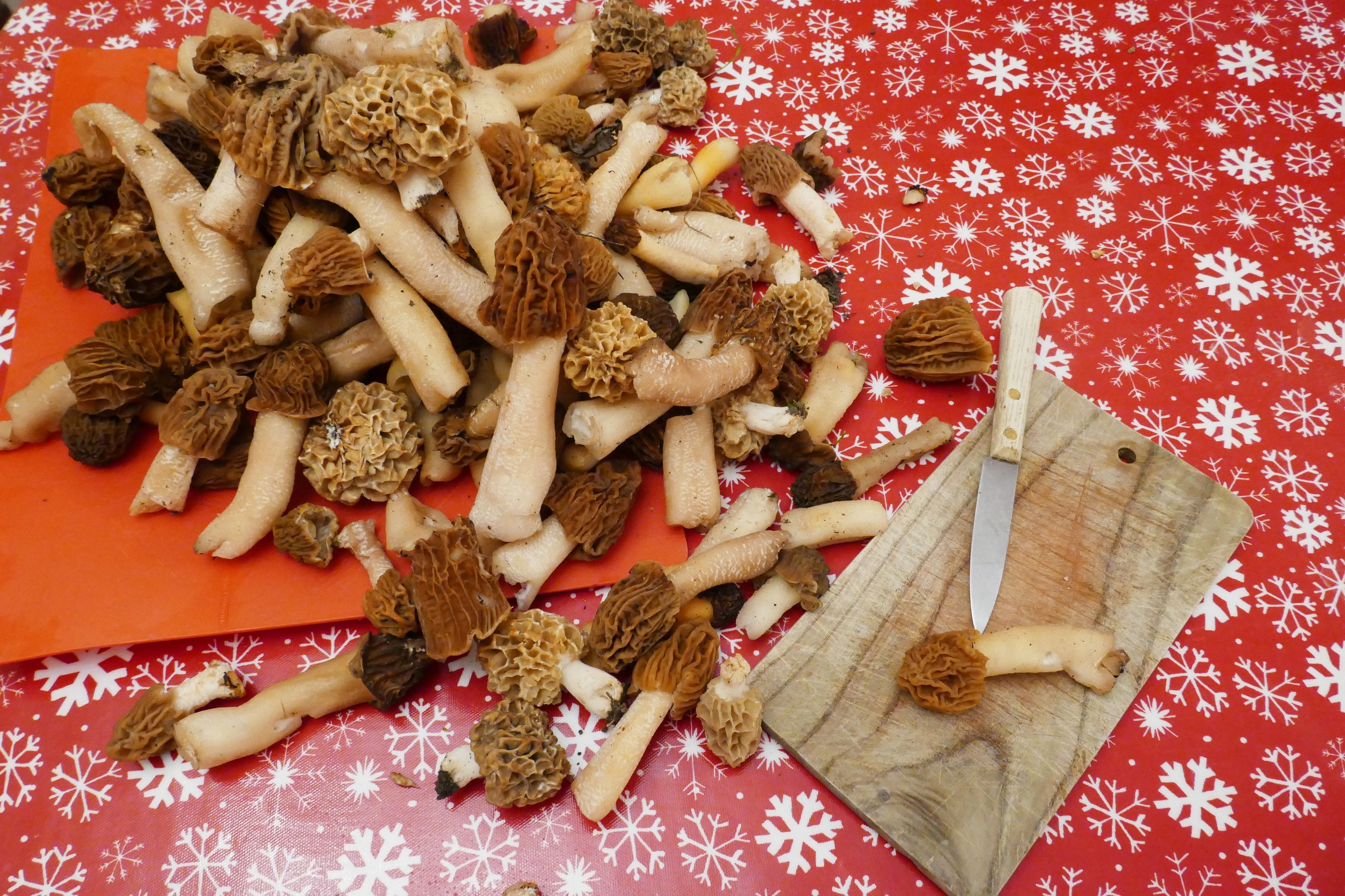 A collection of dried mushrooms on a cutting board with a knife, placed on a red tablecloth with snowflake patterns.