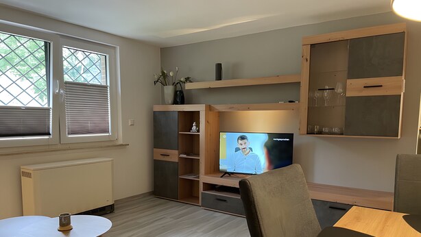 A modern living room with a television, wooden furniture, and a view through a window.
