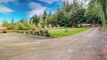 A gravel driveway leading to a wooden cabin surrounded by dense forest.