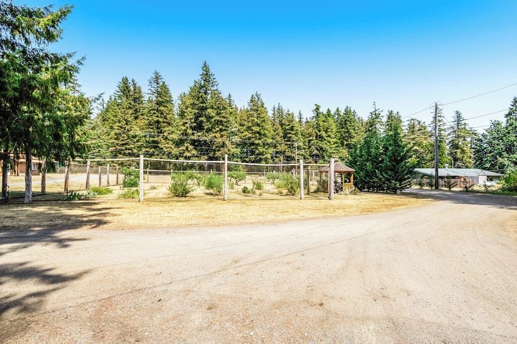 A dirt road leading to a fenced area with a volleyball net, surrounded by trees and a clear sky.
