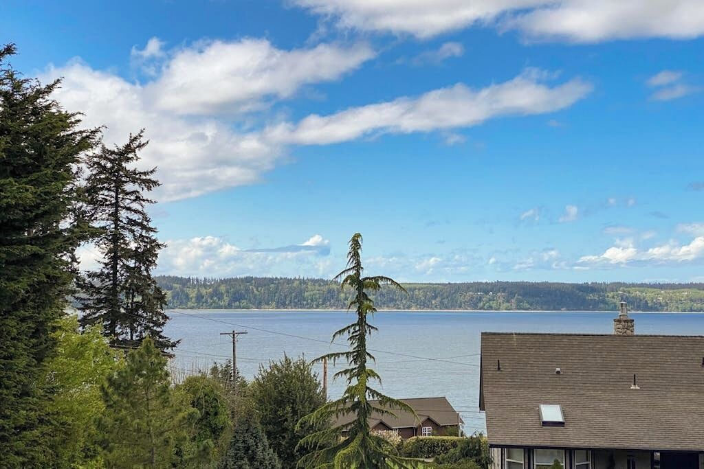 Ein Wohngebiet mit Seeblick, umgeben von Bäumen und einem Haus mit Schrägdach.