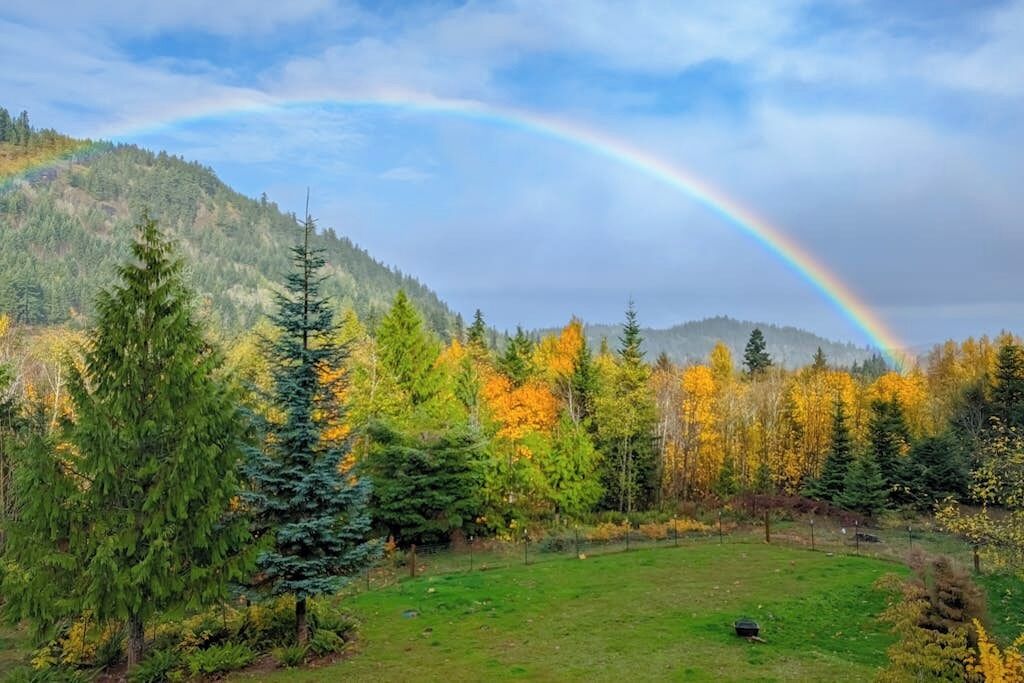 Un paisaje natural con un campo cubierto de hierba, árboles y una montaña al fondo.