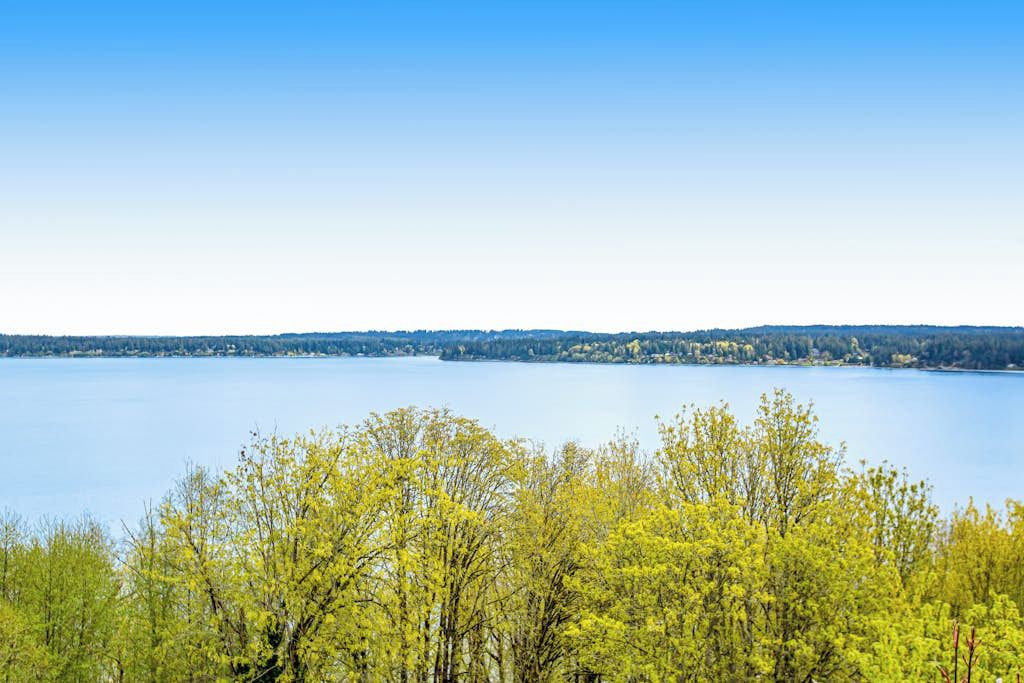 A lake with a clear sky and trees in the foreground.