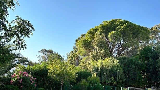 Pool - Villa Casa Lagartixa — your Algarve retreat (Alvor)