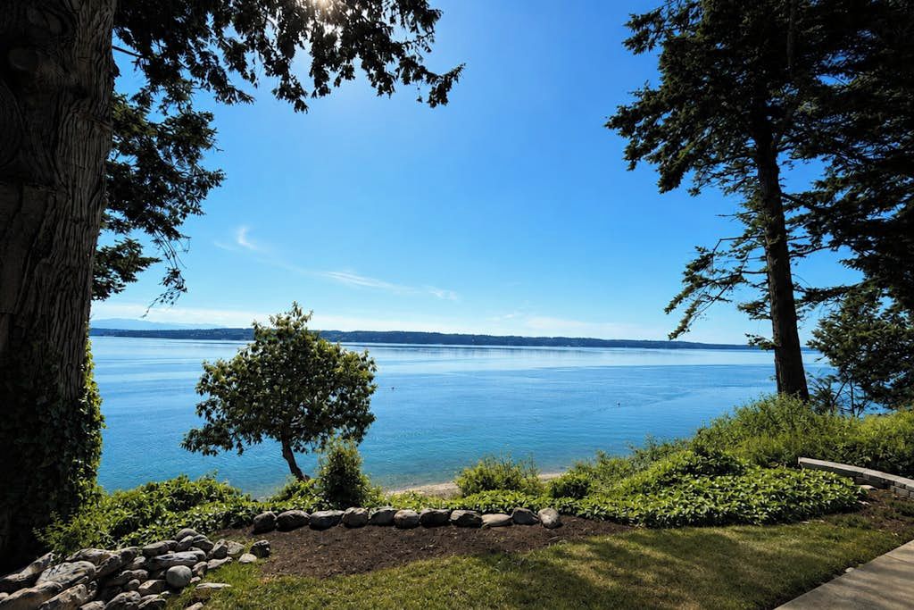 A lakeside view with a clear sky, a tree, and a stone pathway.