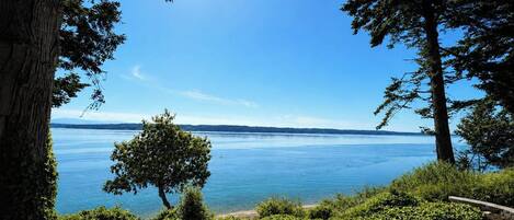A lakeside view with a clear sky, a tree, and a stone pathway.