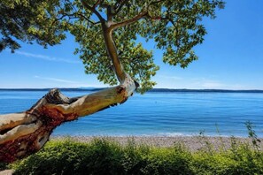 El tronco de un árbol se extiende sobre una masa de agua, con un cielo despejado al fondo.