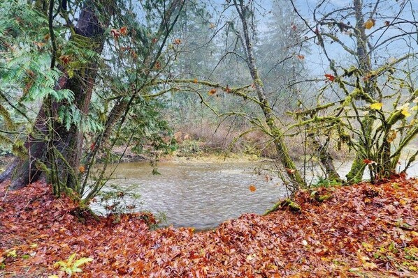 A natural landscape with a body of water, surrounded by trees and fallen leaves.