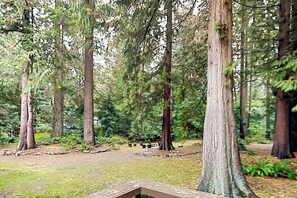 Campament boscós amb arbres alts i una zona de terra plana.