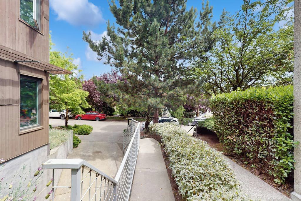 A residential area with a wooden building, a tree-lined driveway, and parked cars.