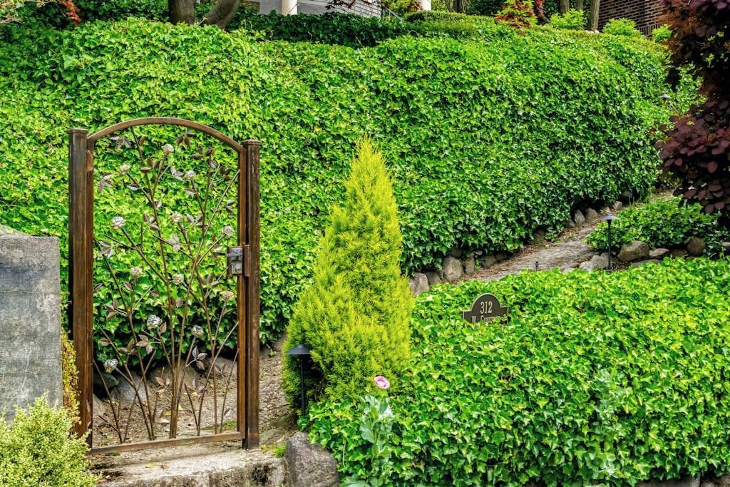 A well-maintained garden with a metal gate, neatly trimmed hedges, and a small sign with the number 312.
